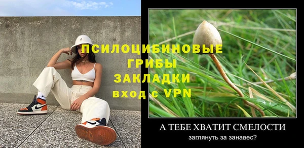 крисы Алзамай