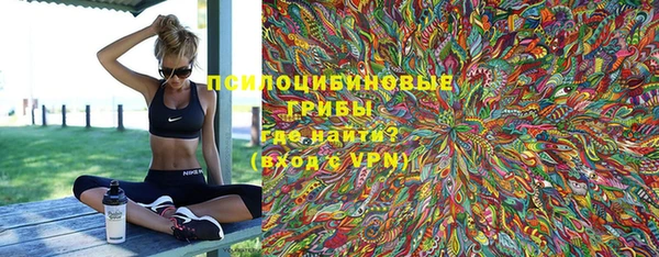 хмурый Алексеевка