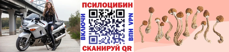 Псилоцибиновые грибы Magic Shrooms  Прохладный 